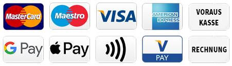 Zahlungsarten Icons